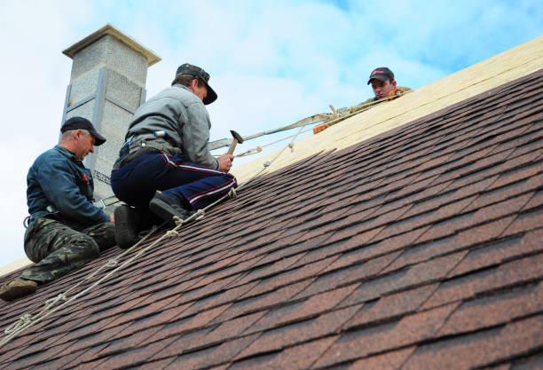 Best Roof Repair Services  in West Unity, OH